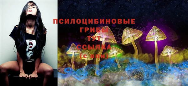 дмт Алексин